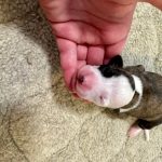 5 Female